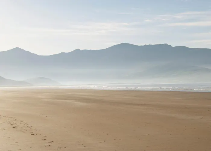 The Shores קסלגרגורי