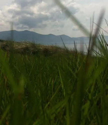 לינה וארוחת בוקר The Shores