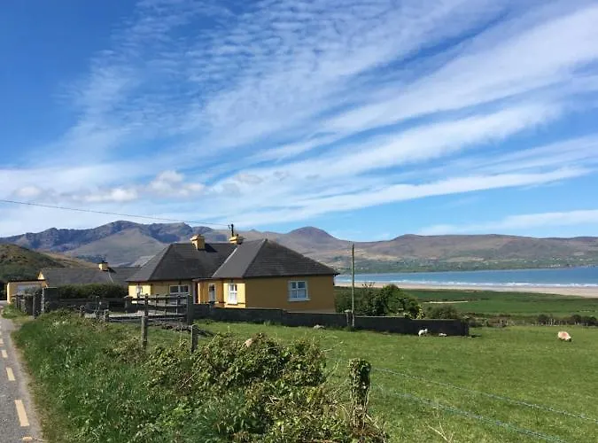 The Shores Отель типа 